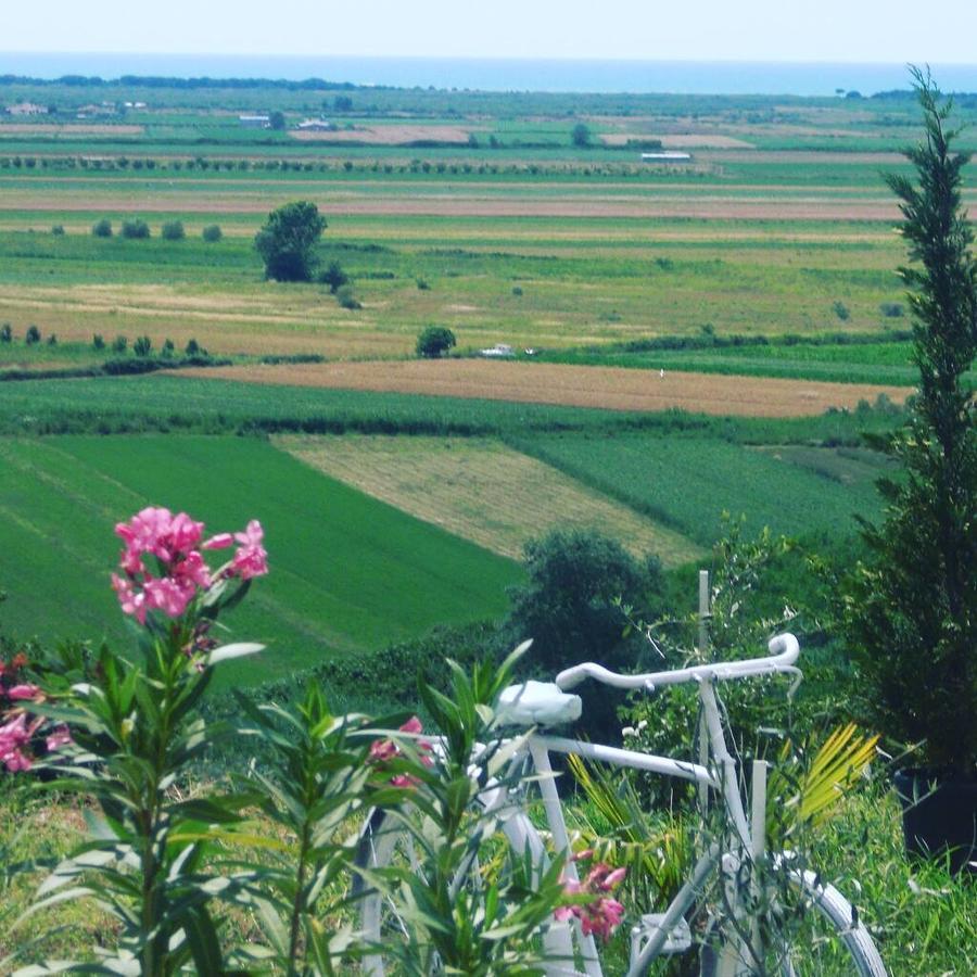 Panorama Guesthouse Bashtove Екстериор снимка